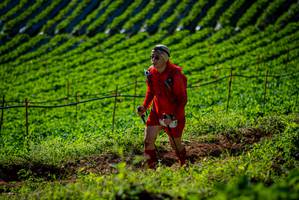 BIB: 
                            <button type="button" onclick="openModal(19160670)" class="btn btn-primary btn-sm float-right btn-popup" data-toggle="modal" data-target=".modal-high-quality">
                        <i class="fas fa-shopping-cart"></i> Add to Cart
                    </button>
                                            <button type="button" onclick="isThisMe(19160670, true)" class="btn btn-success btn-sm float-right btn-popup btn-isme hidden" data-toggle="tooltip" data-placement="bottom" title="นี่คือรูปของคุณใช่ไหม คลิกที่นี่เพื่อเอาเข้าอัลบั้ม">
                        <i class="fas fa-plus"></i> Add to album
                    </button>
                    <button type="button" onclick="isThisMe(19160670, false)" class="btn btn-warning btn-sm float-right btn-popup btn-isnotme hidden">
                        <i class="fas fa-ban"></i> Remove from album
                    </button>